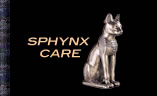 sphynx care
